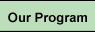 Our Program